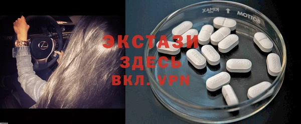 сатива Беломорск