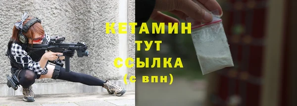 сатива Беломорск