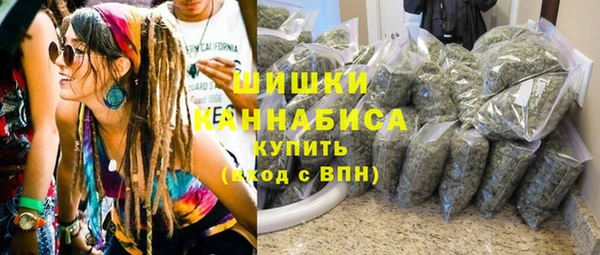 сатива Беломорск