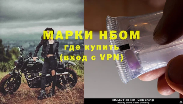 сатива Беломорск