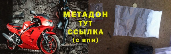 сатива Беломорск