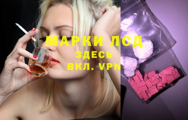 сатива Беломорск