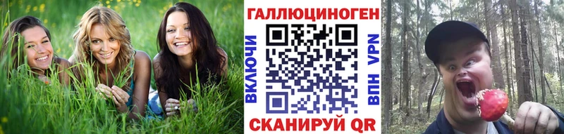где можно купить   Валуйки  Галлюциногенные грибы прущие грибы 