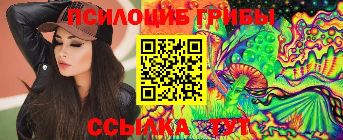 Галлюциногенные грибы Psilocybe Валуйки