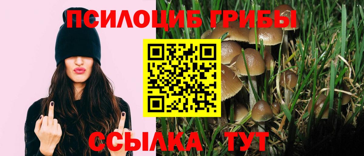 Галлюциногенные грибы MAGIC MUSHROOMS  Валуйки 